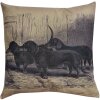 Polštář s výplní 43x43 cm vícebarevný KG023.091