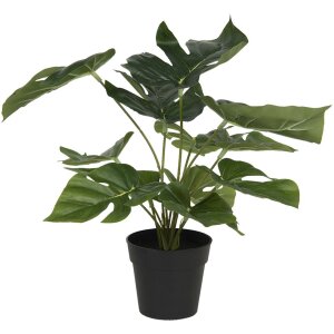 Dekorace umělá rostlina Monstera Deliciosa...