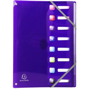 Exacompa organizér s natahovacím hřbetem 8 přihrádek DIN A4 Iderama assorted