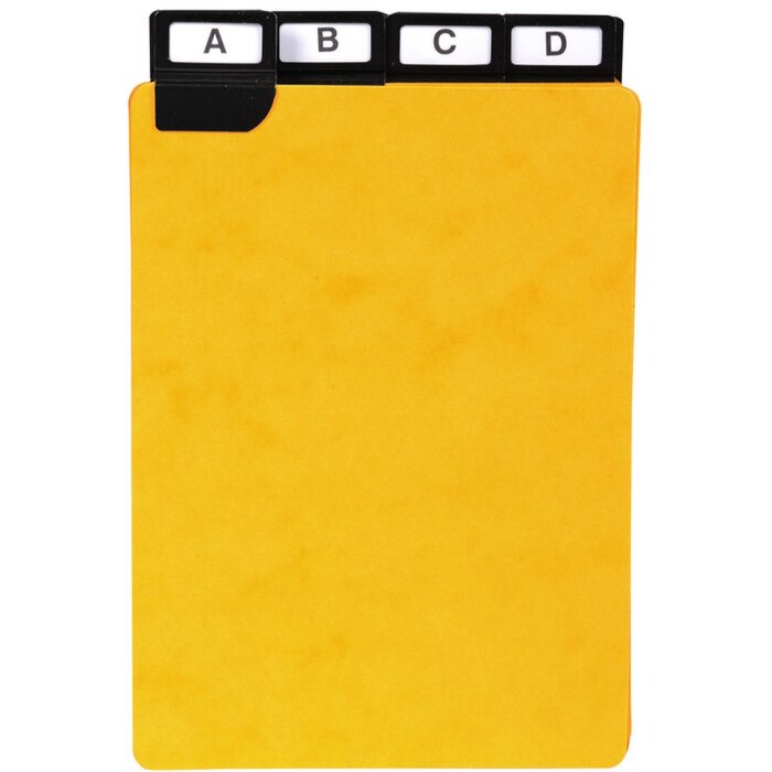 Exacompta 13748E Dělicí štítky s okénkem 210x148mm černé 25 kusů