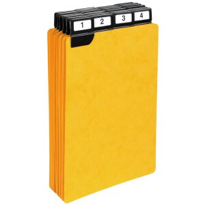 Exacompta 13748E Dělicí štítky s okénkem 210x148mm černé 25 kusů