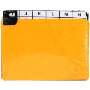 Exacompta 13752E 24 rozdělovníků s okénky...