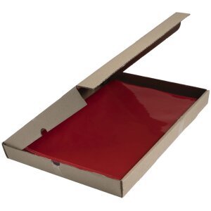 Exacompta kapsy na spisy 130µ DIN A4 červené 100 kusů PVC hladké