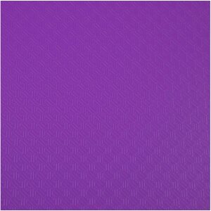 Exacompta polypropylenová složka 500µ 100 kapes crystal OPAK A4 fialová