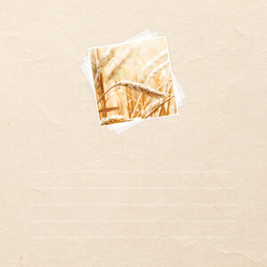 ZEP fotoalbum Communion XV 24x24 cm nebo 31x31 cm 24/40...