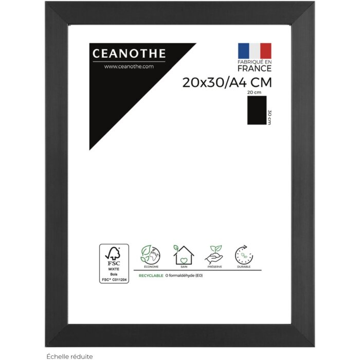 Ceanothe obrazový rám Precious 20x30 cm antracitový