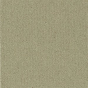 HNFD 10 oddělovacích karet do fotoboxu 15x20 cm - Pistacchio