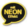 Složka s motivem HERMA A4 Rodina tropických kaktusů v neonových barvách