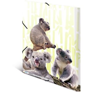 Složka HERMA A4 PP - rodina Koala