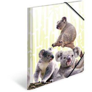 Složka HERMA A4 PP - rodina Koala