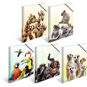 Složka HERMA A4 PP - rodina Koala