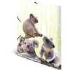 Složka HERMA A4 PP - rodina Koala