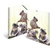 Složka HERMA A4 PP - rodina Koala
