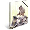 Složka HERMA A4 PP - rodina Koala