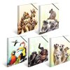 Složka HERMA A4 PP - rodina Koala