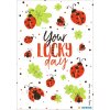 HERMA Nálepka tvůj šťastný den - lesklé hedvábí