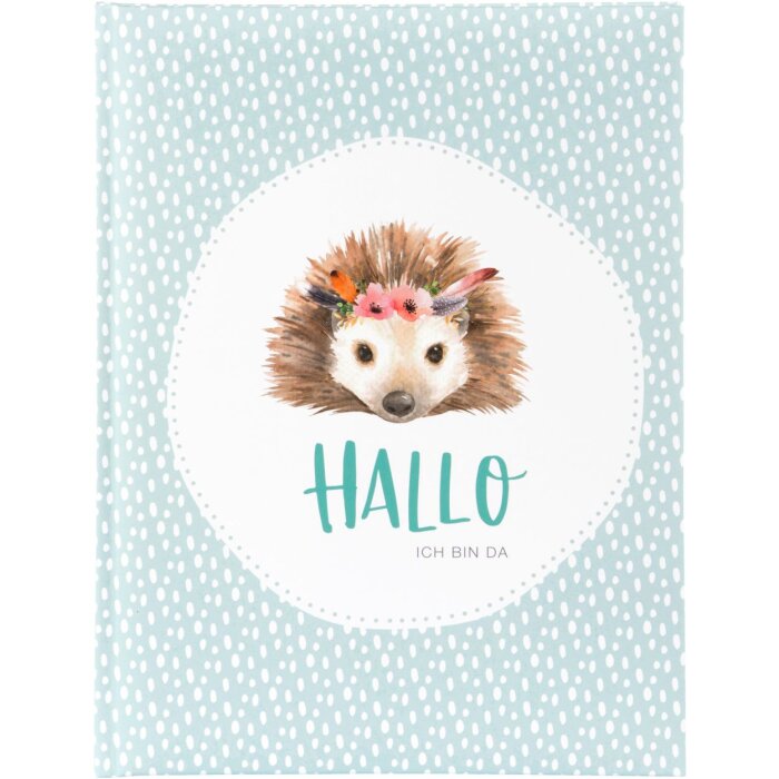 Goldbuch Dětský deník Little Wonder Hedgehog 21x28 cm 44 stran