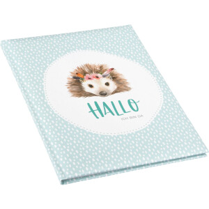 Goldbuch Dětský deník Little Wonder Hedgehog 21x28 cm 44 stran