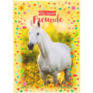 Goldbuch friends kniha Chiara 15x21 cm 88...