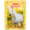 Goldbuch friends kniha Chiara 15x21 cm 88 ilustrovaných stran