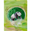 Goldbuch zápisník Panda 15x22 cm 200 bílých stran