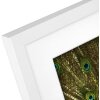 Dřevěný rám Goldbuch Pino 20x25 cm bílý s paspartou 13x18 cm