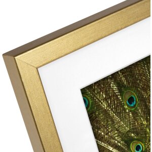 Dřevěný rám Goldbuch Pino 20x25 cm zlatý s paspartou 13x18 cm