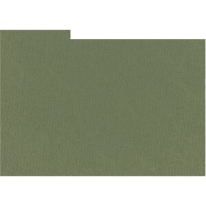 HNFD 20 dělicích karet pro fotoboxy Verde Muschio...