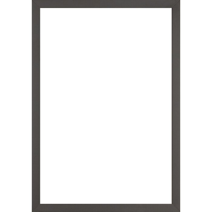 Dřevěný rám Walther Valencia čiré sklo antracit 35x100 cm