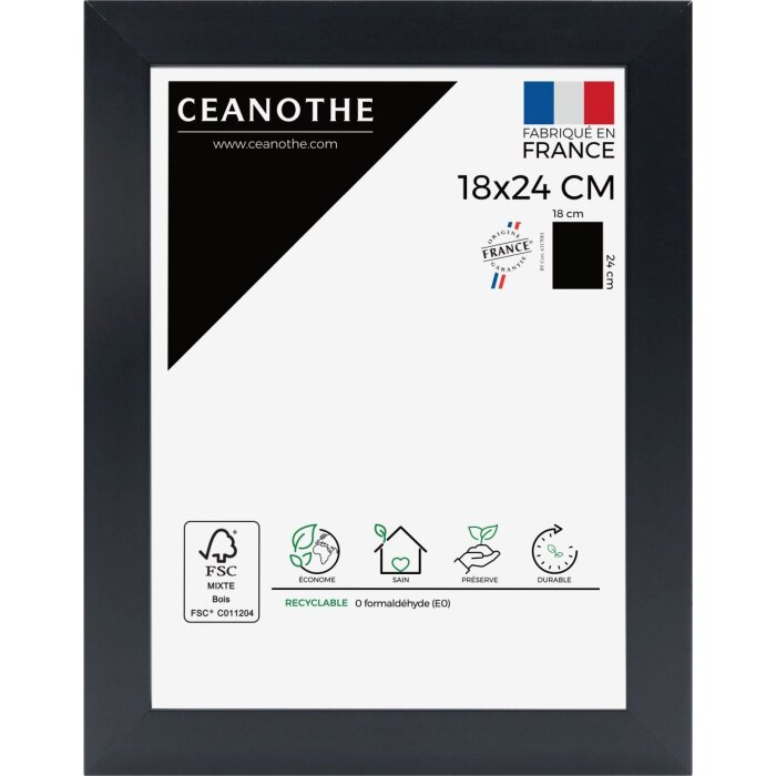 Ceanothe obrazový rám Eternel 20x30 cm černý