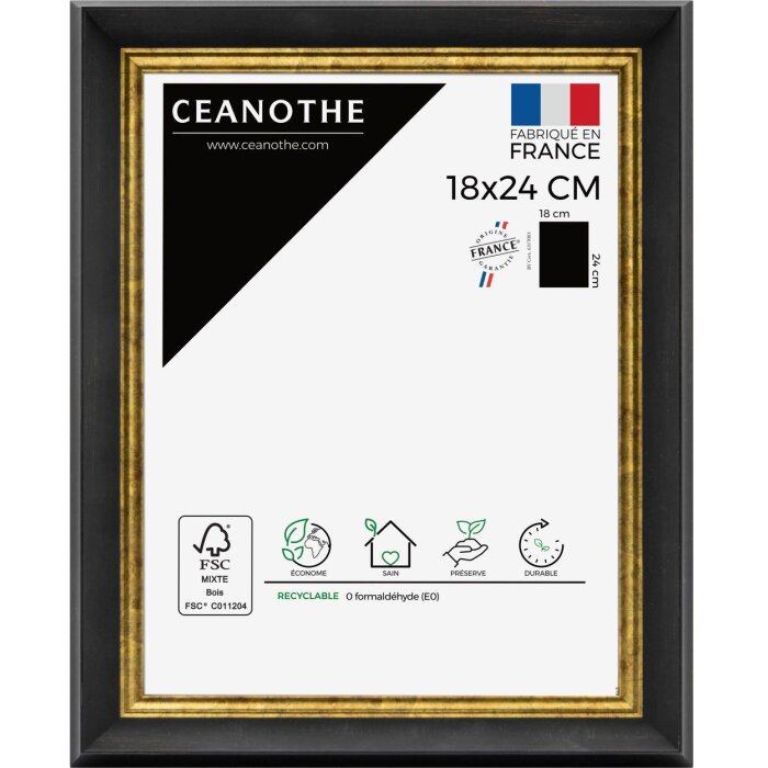 Ceanothe obrazový rám Pandore 50x70 cm černo-zlatý