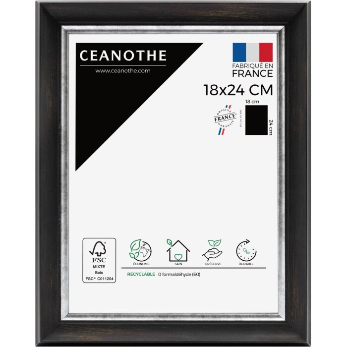 Ceanothe obrazový rám Pandore 40x50 cm černo-stříbrný