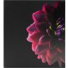 Panodia memo slip-in album Dahlia 200 fotografií 11,5x15 cm na šířku