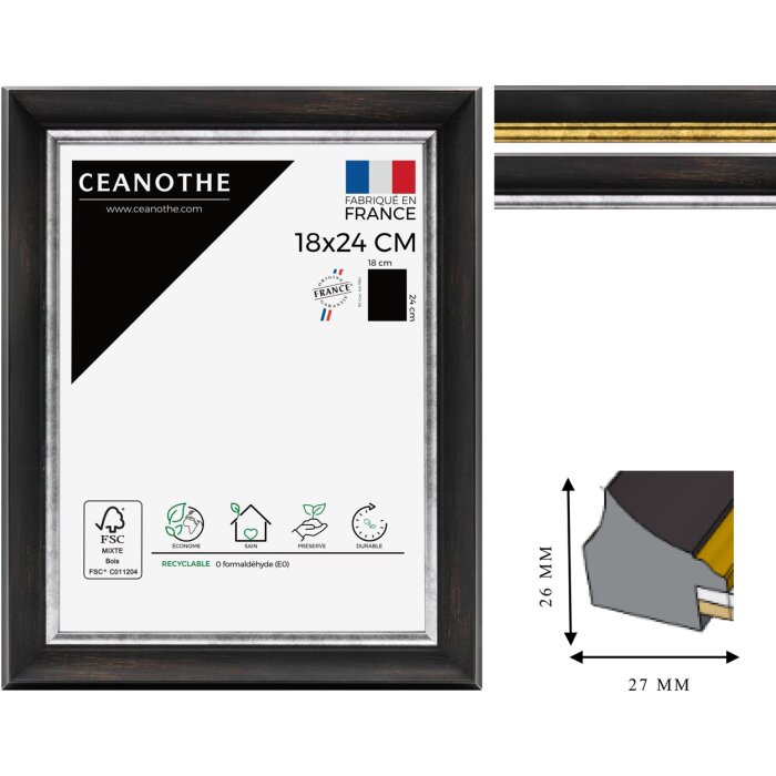 Ceanothe rám obrazu Pandore 10x15 cm až 60x80 cm