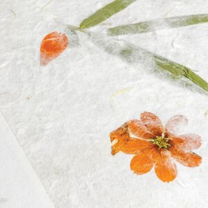 ZEP Thajské zasouvací album 200 fotografií 10x15 cm rýžový papír s popisovacími poli