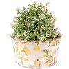 Clayre & Eef 6CE1533L Dekorace Květináč Ø 19x10 cm Žlutý