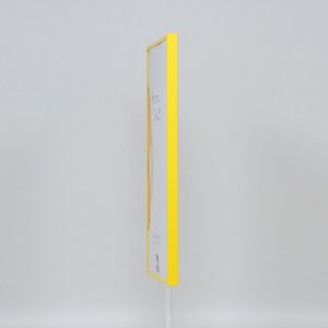 Efektní plastový rám Art yellow 25x50 cm čiré sklo