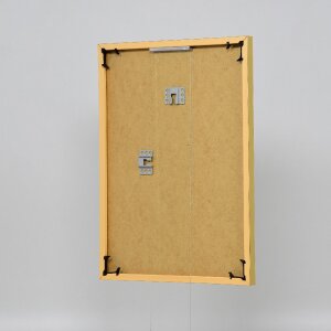 Efektní plastový rám Art gold 25x60 cm čiré sklo