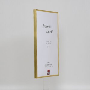 Efektní plastový rám Art gold 25x60 cm čiré sklo
