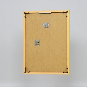 Efektní plastový rám Art yellow 50x100 cm čiré sklo