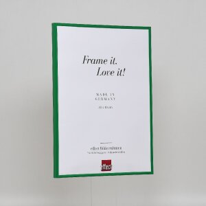 Efektní plastový rám Art green 30,5x91,5 cm čiré sklo
