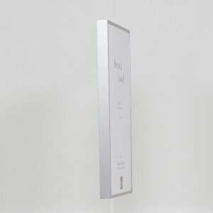 Hliníkový obrazový rám Effect Quadro 62x93 cm stříbrný čiré sklo