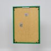 Efektní plastový rám Umělecká zelená 20x30 cm antireflexní sklo