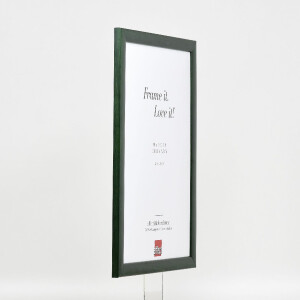 Effect Dřevěný rámeček na obrazy Profil 43 tannengrün 24x30 cm s muzejním sklem