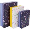 Goldbuch kartonová sada Meadow Miracles 3 krabice