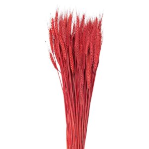 Clayre & Eef 5DF0012 Sušené květy pšeničné trávy 80 cm (200 gr) Červený