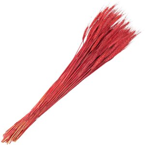 Clayre & Eef 5DF0012 Sušené květy pšeničné trávy 80 cm (200 gr) Červený