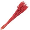 Clayre & Eef 5DF0012 Sušené květy pšeničné trávy 80 cm (200 gr) Červený