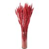 Clayre & Eef 5DF0012 Sušené květy pšeničné trávy 80 cm (200 gr) Červený