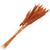 Clayre & Eef 5DF0013 Sušené květiny bambus 90 cm (10) oranžová